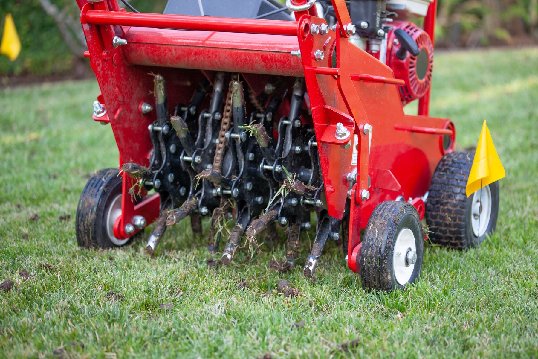 Aerating Lawns: What, When, and How