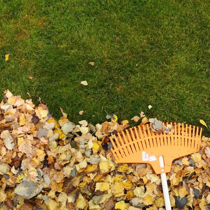 Fall-Lawn-Care-Tips-5-Steps-to-a-Beautiful-Lawn-Next-Year ACE Supply