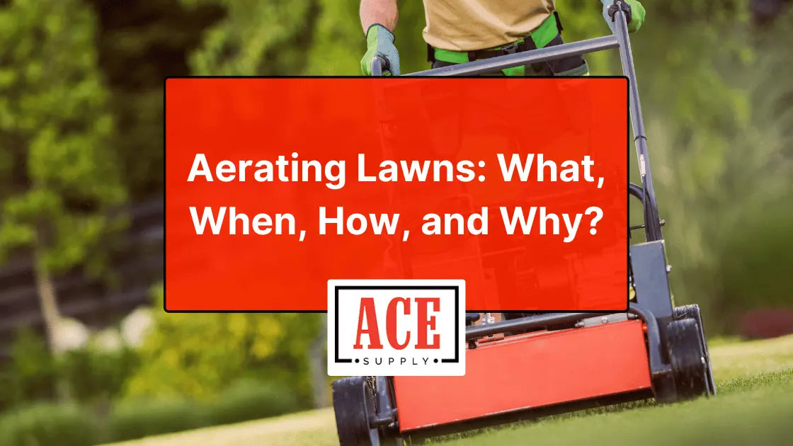 Aerating Lawns_ What, When, and How