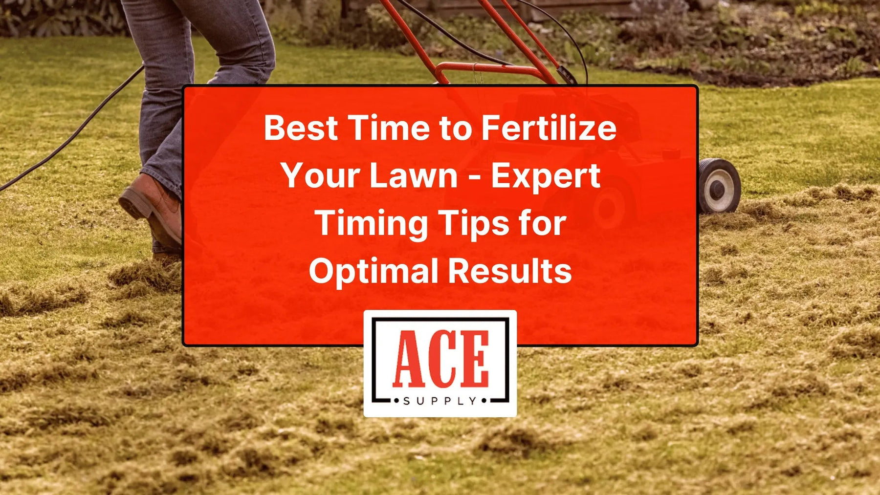 Best Time to Fertilize Your Lawn