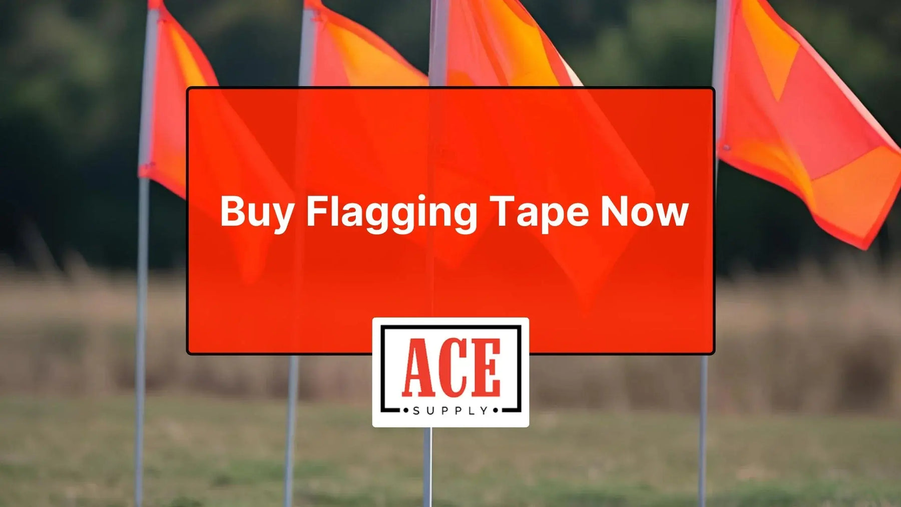 Colorful flagging tape tied to trees and stakes with Ace Supply logo showing durable options for construction and utility marking to buy flagging tape now.