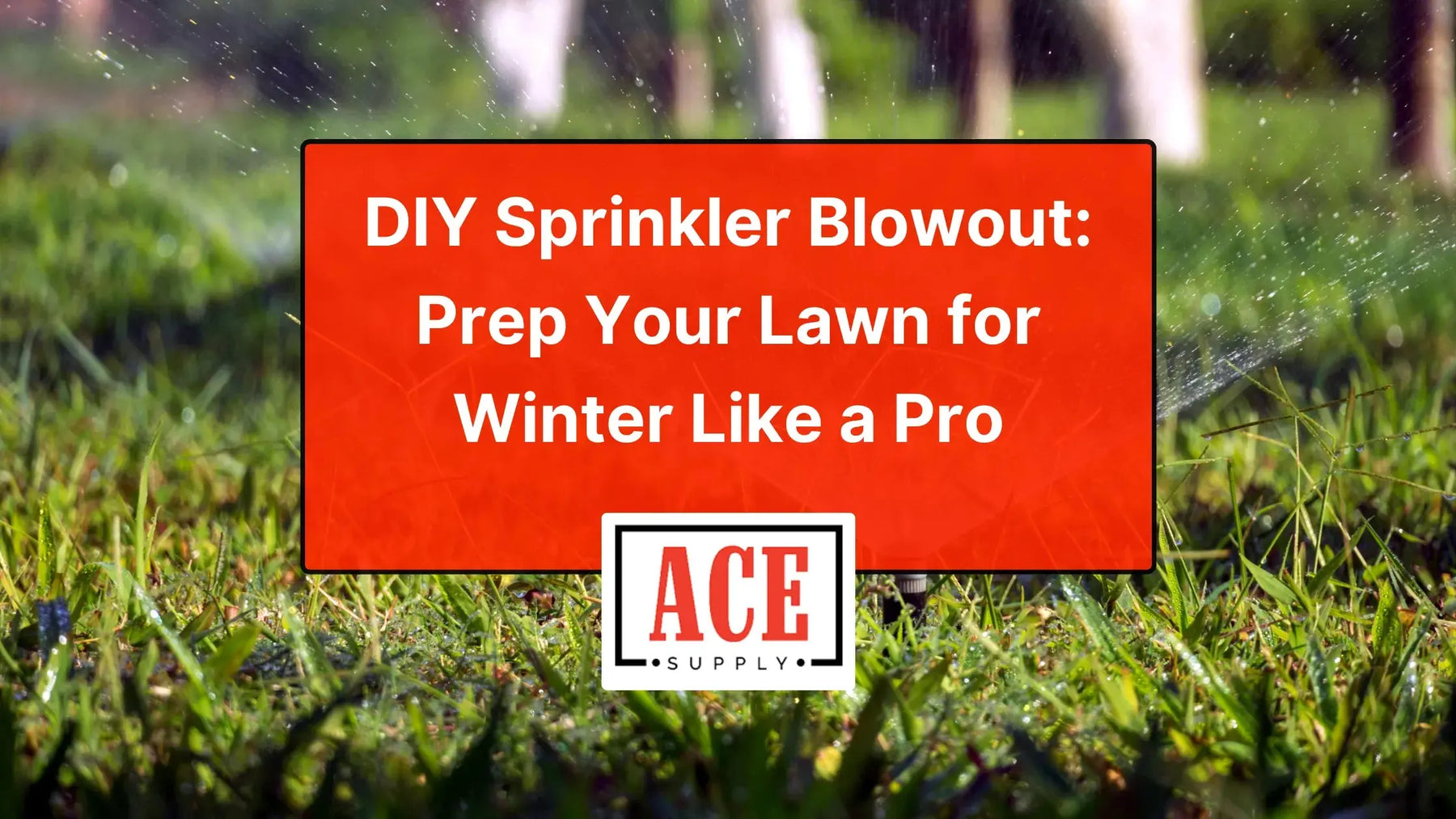 DIY sprinkler blowout guide title card showing green lawn with water spray — Ace Supply logo and text ‘Prep Your Lawn for Winter Like a Pro.’”
