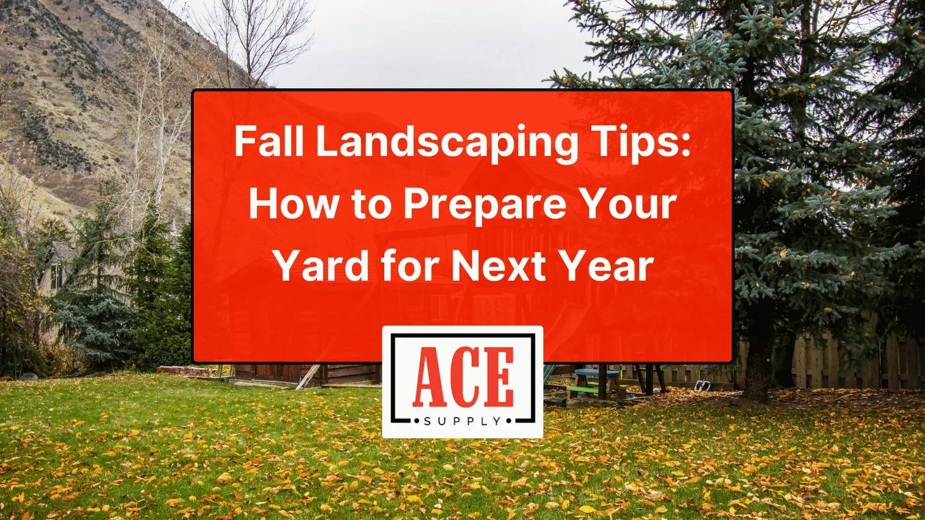 Fall-Landscaping-Tips-How-to-Prepare-Your-Yard-for-Next-Year ACE Supply