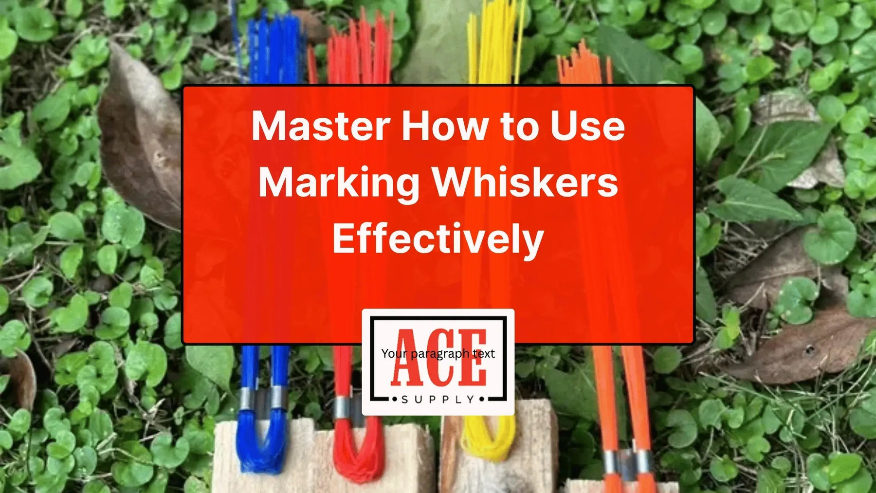 Master How to Use Marking Whiskers Effectively