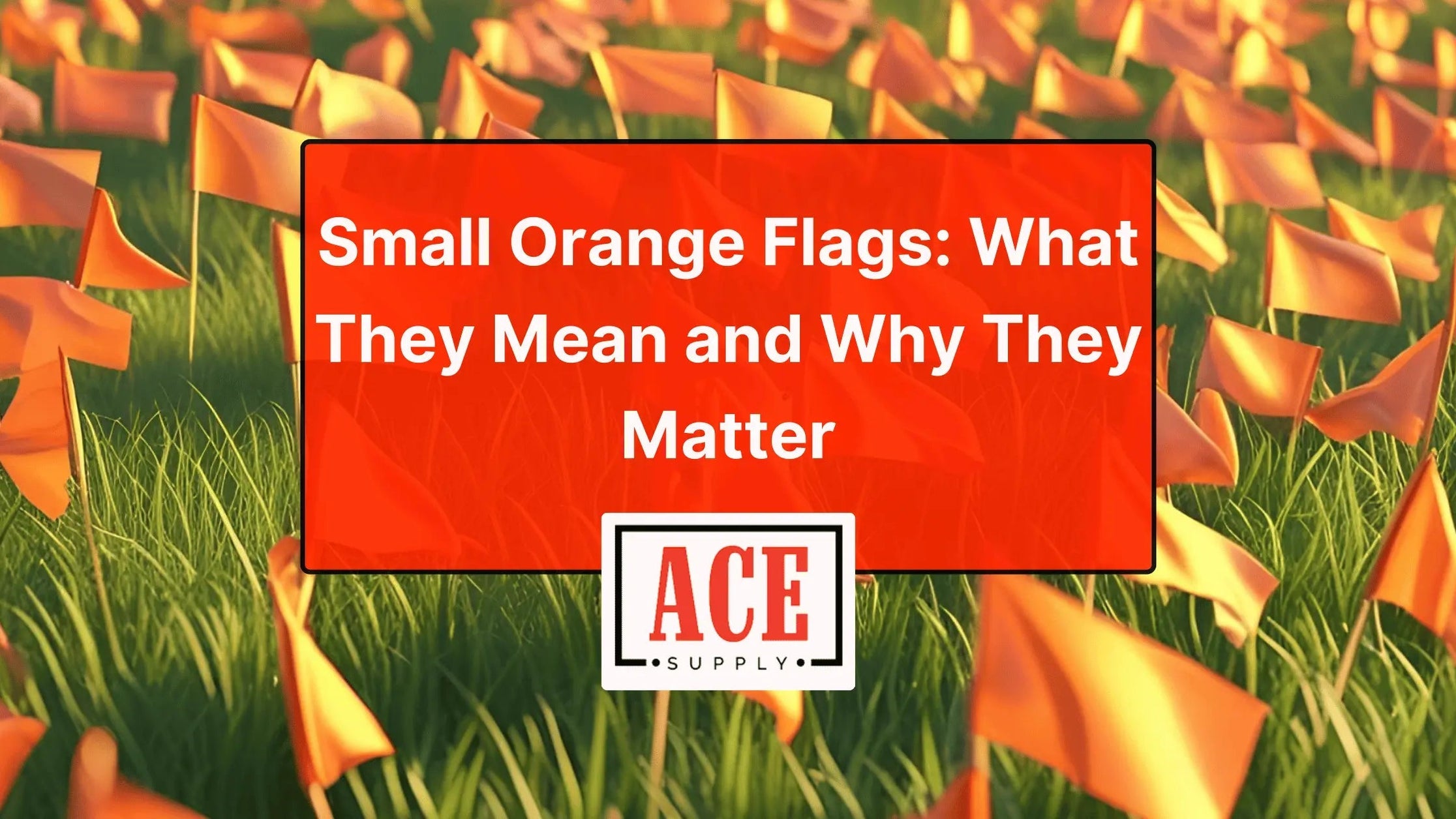 Small Orange Flags – Reliable Visual Marking Tools for the Field — ACE ...