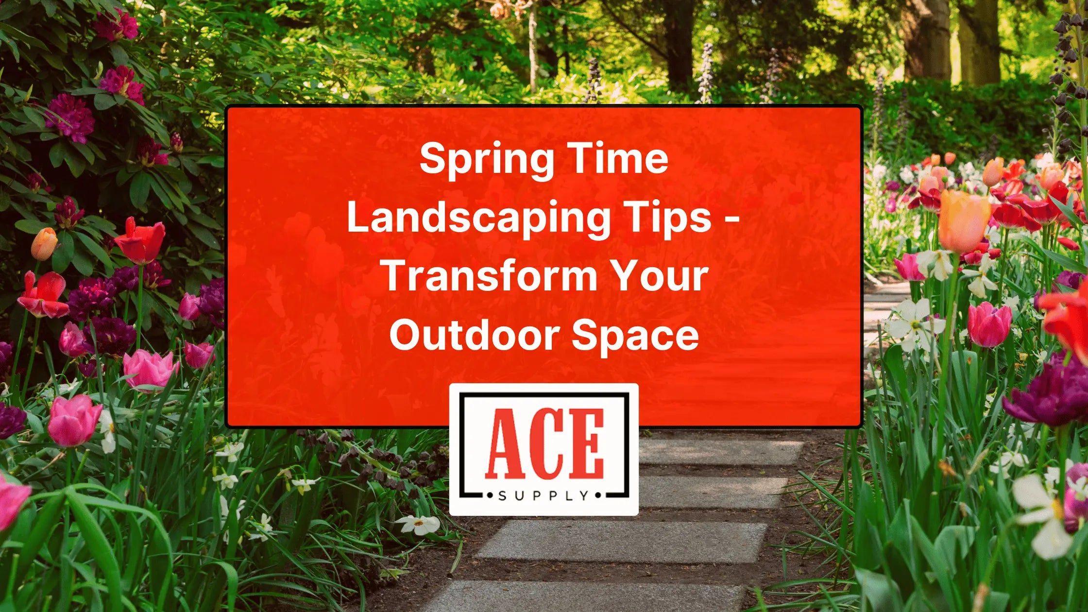 Spring Time Landscaping Tips - Blossom Your Outdoor Space — ACE Supply