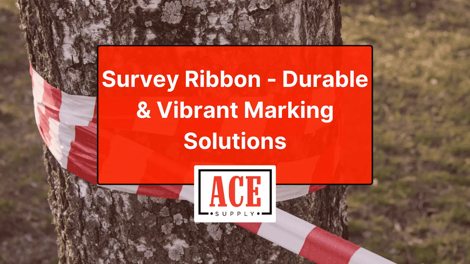 Survey Ribbon - Durable & Vibrant Marking Solutions - ACE Supply