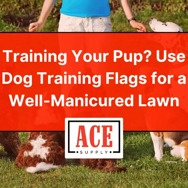 Training-Your-Pup-Use-Dog-Training-Flags-for-a-Well-Manicured-Lawn ACE Supply