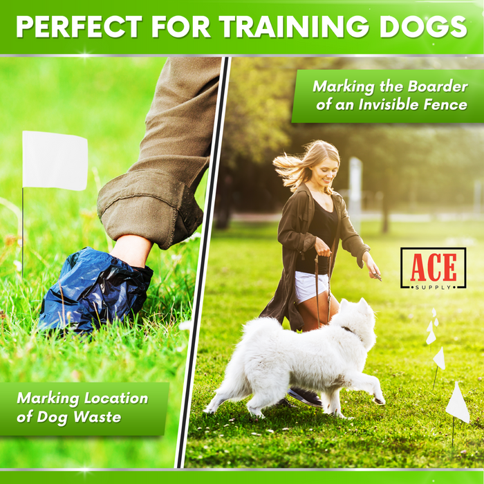 Training Your Pup? Use Dog Training Flags for a Well-Manicured Lawn