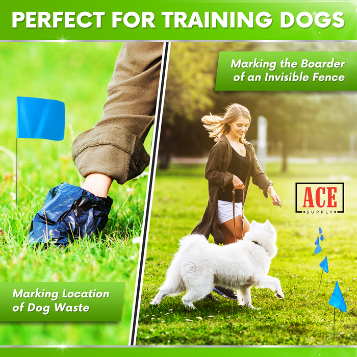 Blue Marking Flags for Dog Training