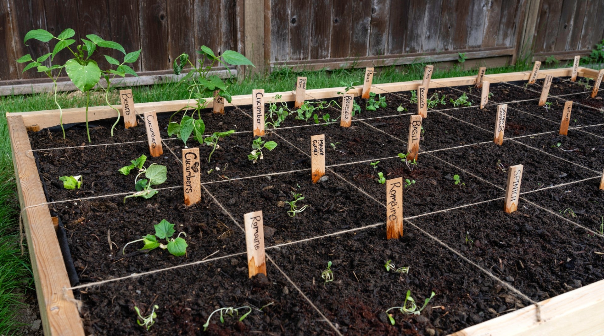 Garden String